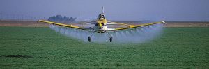 Crops that are GMOs often need more herbicides
