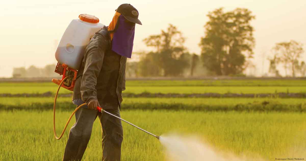 What is Glyphosate and Why is It Bad? - Sprout San Francisco