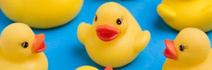Plastics in your home like these cute duckies could contain recently banned phthalates